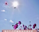 あなたの心の声を受けとめます まずはしっかり吐き出してください。あなたの心を軽く温かく。 イメージ2