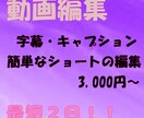 動画の字幕つけ、キャプション作業承ります ショート動画やYOUTUBE動画に字幕つけます イメージ1