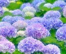 数秘鑑定します イメージ1