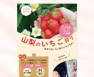 集客にお悩みの方、ご相談下さい！お手伝い致します ココナラ参入記念特価！先着3名様限定で対応致します。 イメージ8