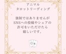 アニマルタロットカードリーディングをします カードを使って愛するわが子からのメッセージをお伝えします イメージ6