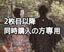 2枚以降同時購入でお安くなります 2枚目以降同時購入の方専用となります。 イメージ1