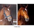 画像加工・レタッチ承ります 実績多数現役レタッチャーです｜修正回数ゼロを目指します イメージ9