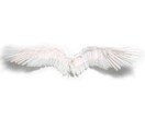30分間のチャット形式で鑑定します ご希望の方はDMから日時予約してください⭐︎ イメージ1