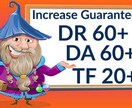 MOZドメインオーソリティ30台以上に上げます MOZ DA30+　ahrefs　DR40+　以上に上げます イメージ1
