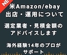 米Amazon/eBay販売運用をアドバイスします 14年の実績でFBA代行・運用業者選定、販売運用のアドバイス イメージ1