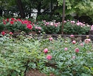 悩み事や愚痴など聞きます 話したいけど、話す相手がいない人にお薦めします。 イメージ10