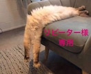 お疲れを癒します。リピーター様専用になます ヒーリングは従来通りです^_^ イメージ1