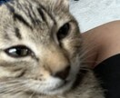 お試し用・医学生が優しくオンライン家庭教師します 初めての方向けのお試しです。できることはなんでもやります イメージ1