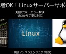 初心者OK！サーバー初期設定・トラブル対応します わからないをそのまま丸投げOK！ゼロからサポート＆解決！ イメージ1