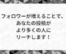 X(Twitter)の外国人フォロワーを増やします 【高品質 & 格安】フォロワーが3000人増えます イメージ3