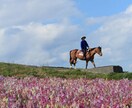 ちょっとした写真の修正・画像処理承ります 美肌修正や目の大きさ調整、髪型や衣服のシワ除去など。 イメージ7
