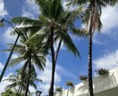 ハワイ他海外の今の現地情報収集撮影等します ハワイに行けない方に代わり現地ご指定場所より提供郵送します。 イメージ3
