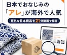 Etsyで出品候補になる意外な品物を解説します 海外で人気の日本の意外な物を動画で教えます イメージ1