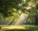 歴9年のプロが冷えを解析し温活カルテを作成します 写真不要・20の質問であなたの不調を徹底分析 イメージ3