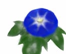 植物 花のイラストを描きます あなたのお気に入りの植物 花のイラストを描きます。 イメージ8
