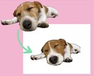 ペット写真をイラスト化します うちの子を世界に一枚のイラストにして記念やプレゼントに♪ イメージ3
