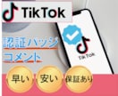 TikTok認証（青バッジ）アカウントへ宣伝します 認証アカウントからコメントされるまで拡散｜ティックトック イメージ1