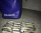 釣り歴7年が海の釣テク教えます 海釣り初心者の方にボウズにならない必釣法を教えます！ イメージ2