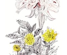 商用可  ボタニカル(植物)イラスト描きます 温かみのある線画のボタニカル(植物)イラスト イメージ4