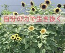 スマホ１つと行動のみでできます ㊙️実践者が歩ん実践型ロードマップ イメージ4