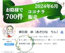 ライトコードで浄化・活性化☆具現化を加速します その他ご要望により、ライトコードや活用法を伝授 イメージ3