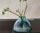 40・50代の透明感のある雰囲気作りお手伝いします 人生これからです！一緒に楽しみましょう！ イメージ1