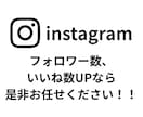 インスタの高品質な日本人の400回いいね増やします ✨30名様限定価格✨オプションで500回以上も可能✨ イメージ2