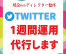 Twitter1週間 専門家で運用代行いたします 最適なtwitter運用からあなたの目的にコミットします! イメージ1