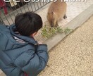こどもお悩み相談所りく君がお答えします 人間関係、恋愛、お悩み全般【おまけでタロット占いあり】 イメージ1