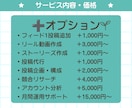 低価格で選べる！インスタ運用代行します 追加オプションの選択でムダなく、インスタ運用代行の依頼可能！ イメージ4