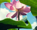 辛口☆話していると言葉が浮かんできます 見えない存在のチカラを借りてアドバイスをさせていただきます♪ イメージ1