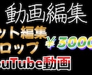 YouTube動画編集致します YouTube・プライベート動画お好みに編集致します。 イメージ1