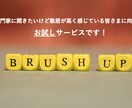 商品の企画・コンセプト・アイデア内容を分析します 内閣府認定マーケターが商品企画の課題を見つけます！ イメージ1
