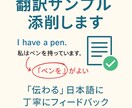 翻訳サンプル添削しまます 伝わる日本語に。心を込めて添削します。 イメージ1