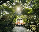 霊感デジャブ占い【あなたの未来】霊感霊視占います 霊感タロット★霊感オラクル★超第六感★自分の未来 イメージ9