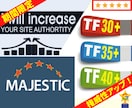 超格安でトラストフローTF30以上にアップさせます ☆限定価格☆TF35-40以上へのアップグレードオプション有 イメージ3