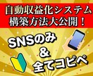 破格！完全コピペだけの極秘副業を教えます 【リリース特典】副業で稼ぐ為のプレゼント117スライド分付属 イメージ1