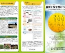 プロのデザイナーがチラシを制作します 売れるチラシ・フライヤーを制作します【印刷データ納品可】 イメージ5