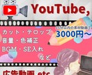 修正回数無制限対応にて満足いく動画を作成します 独学の為、希望に寄り添い納得していただくまで対応します！ イメージ2