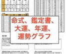 四柱推命で命式や鑑定書、運勢グラフをお出しします 命式、性格・本質等の鑑定書、大運、年運、運勢グラフ イメージ1