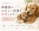 体験談やレビュー記事を執筆します 丁寧で読みやすい文章を作成します イメージ1