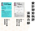 マネー侍が家計診断と改善指南します 1000万円貯めさせる侍が、あなたの家計を診断します（辛口) イメージ6