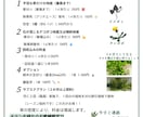 どんなチラシも、あなたの思いを形にします チラシ、ポスター、メニュー表などご希望に沿った提案をします。 イメージ3