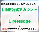 LINE公式アカウント作成もエルメの導入もやります エルメを組み合わせたLINE活用でビジネスの可能性を拡大！ イメージ9