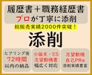添削プラン　職務経歴書や応募文章をプロが添削します プロ品質の文章を作成/結果に直結　総販売実績2000件突破 イメージ1