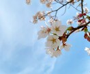 ちょっとしたことに使いたい風景写真編集します SNSやスマホの壁紙などに使う写真を鮮やかに！！ イメージ4