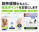 EC画像・LPの改善点を動画で解説します 日程調整なし。プロの見る順番と直す理由が分かる イメージ5