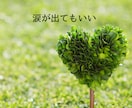 私これでいいのかもと思える時間をお届けします ☆☆安心して本音を話せる対話で、心をそっとほどきます☆☆ イメージ6