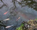 2026年の流れもわかります 期間限定価格★早い者勝ちです。 イメージ2